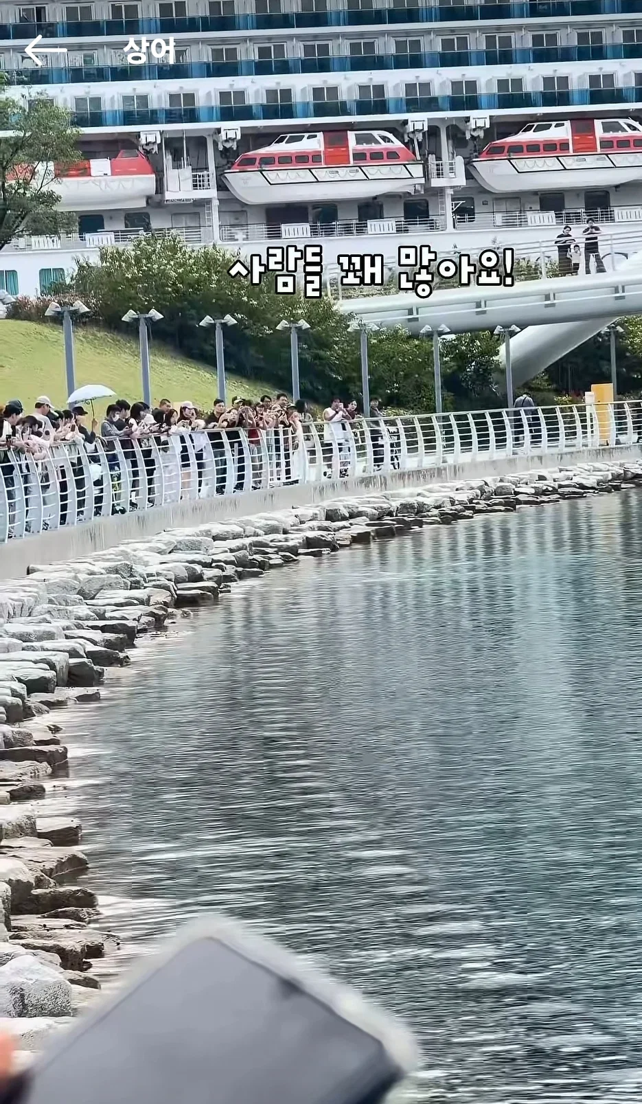 현 시각 부산에서 가장 핫한 곳이라는 부산항 (4)