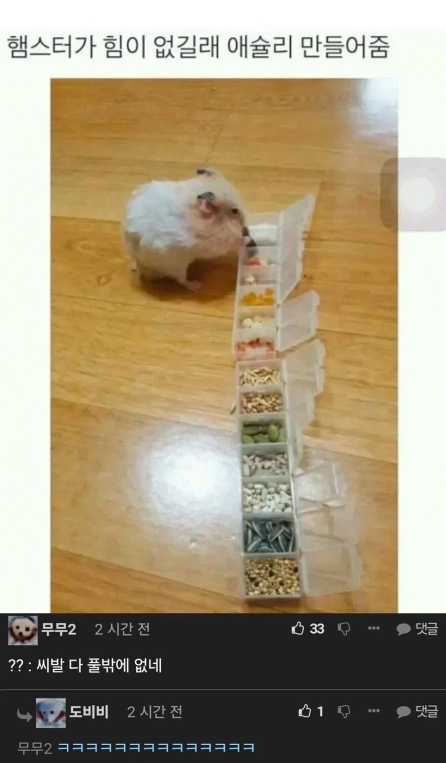 햄스터가 힘이 없길래 애슐리 만들어줌.jpg