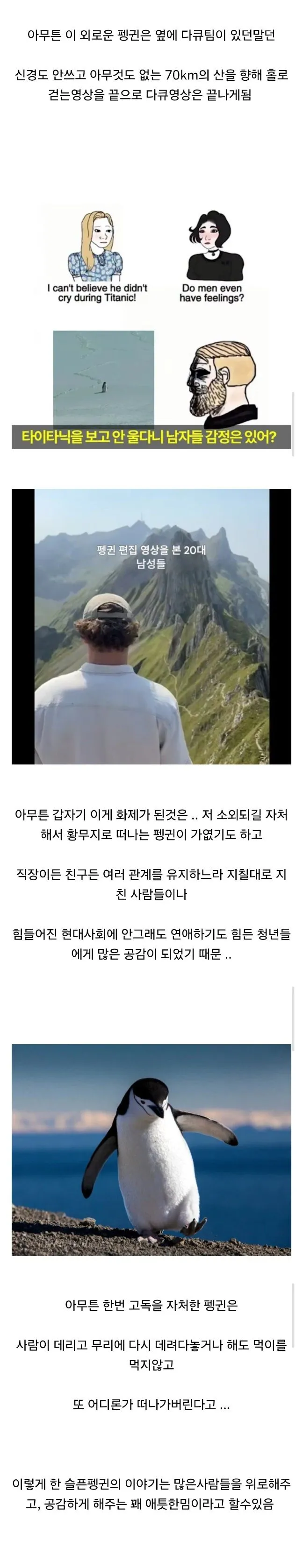 해외에서 유행했던 외로운 펭귄 밈...jpg