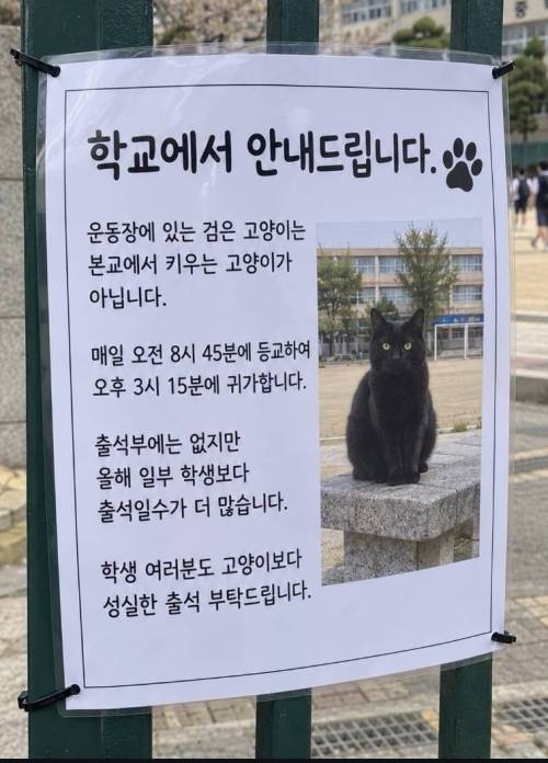 학교에서 안내드립니다