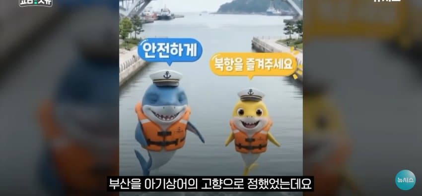 상어 한마리에 3만명 몰려, 부산 명소가 된 북항 (45)