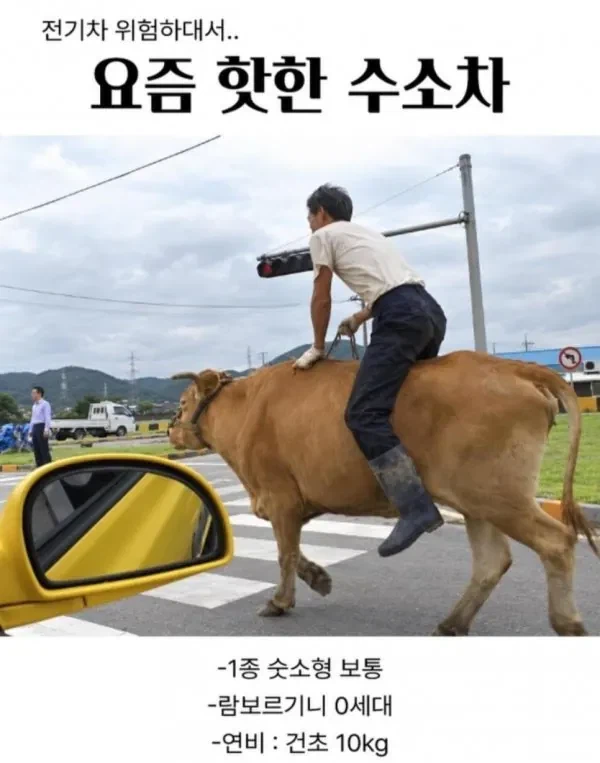 전기차는 위험하대서 수소차로 넘어감