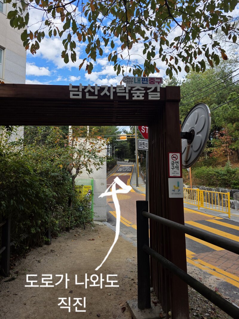 서울에서 남산타워,롯데타워를 볼수있는 공원 (11)