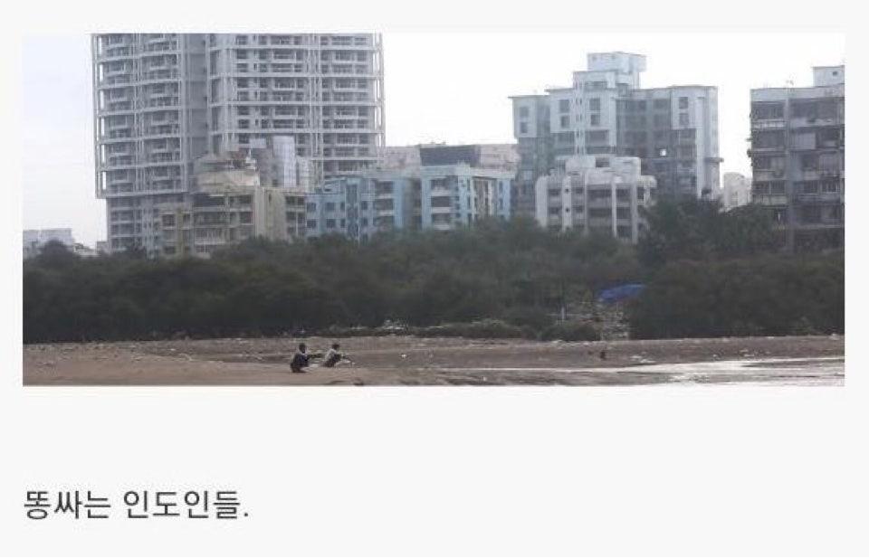 인도의 거대 화장실 (15)
