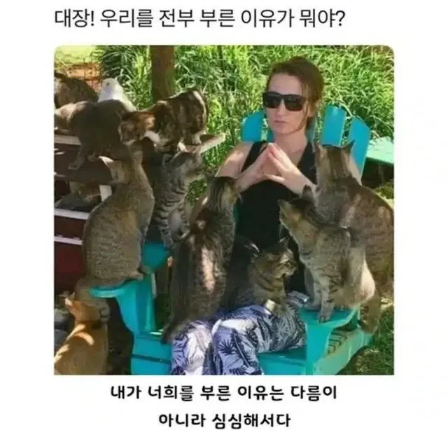 OAMama