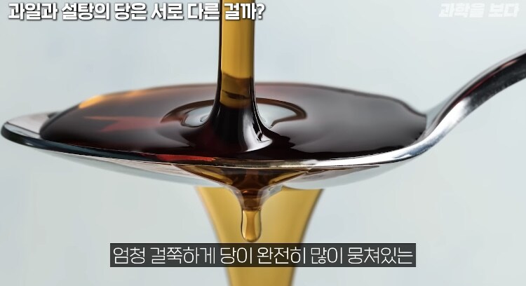 탄산음료 액상과당이 몸에 안좋은이유 (17)