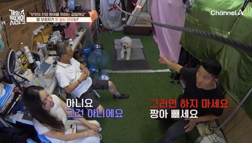 싱글벙글 반려견이 스트레스 받는데도 방송 촬영은 멈출 수 없다는 보호자 (36)