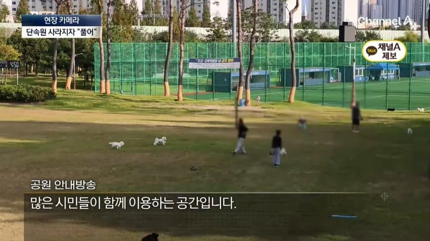 채널a) 단속원 퇴근하자...공원이 '개판' (25)