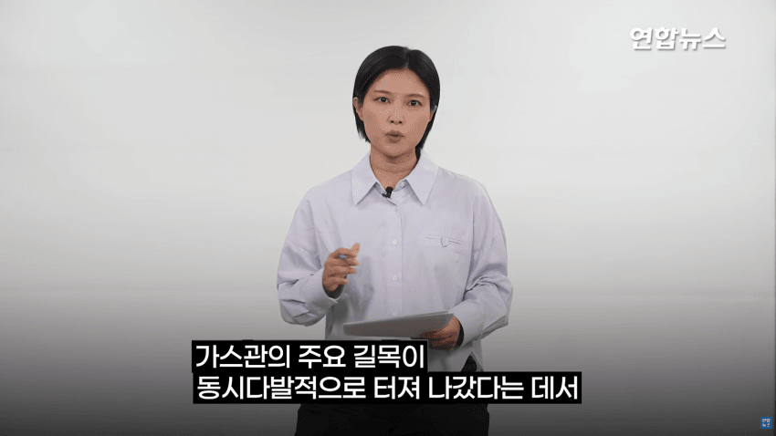 유럽 뒤흔든 수중폭발..우크라의 사보타주였다 (10)