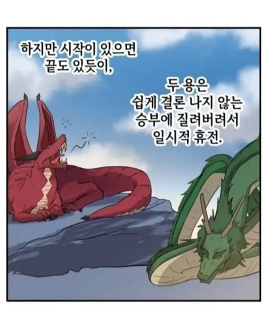 동양 용 vs 서양 용 (5)