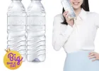 삼다수 500ml 40개