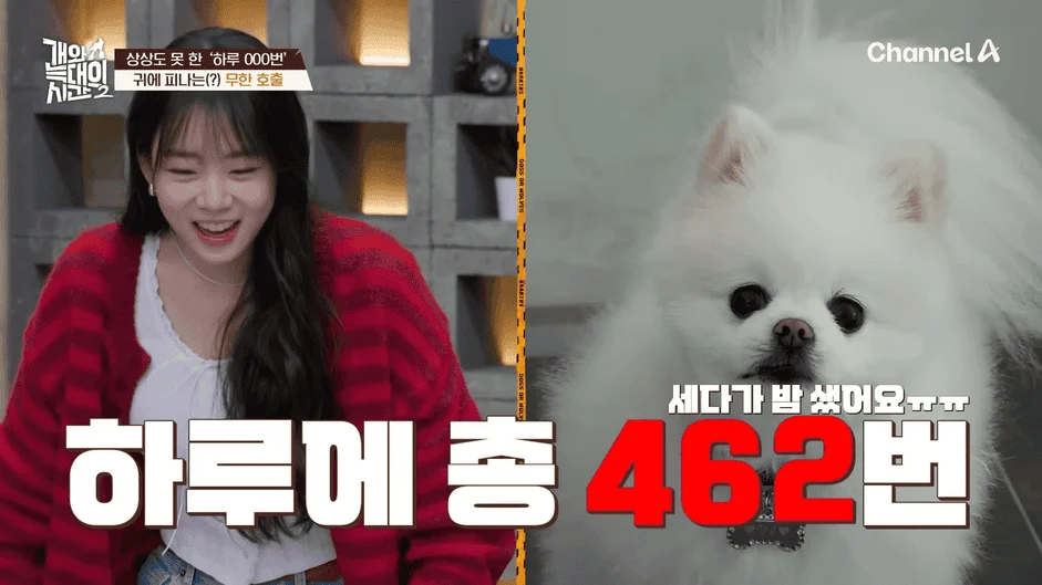 [#개와늑대의시간2] _저 같아도 물 것 같._ 하루에 개를 462번 부르는 보호자!_😨🚨 (귀에 딱지 앉을 듯.)🤕🐕 _ 개와 늑대의 시간2 17회 17-16 screenshot.png