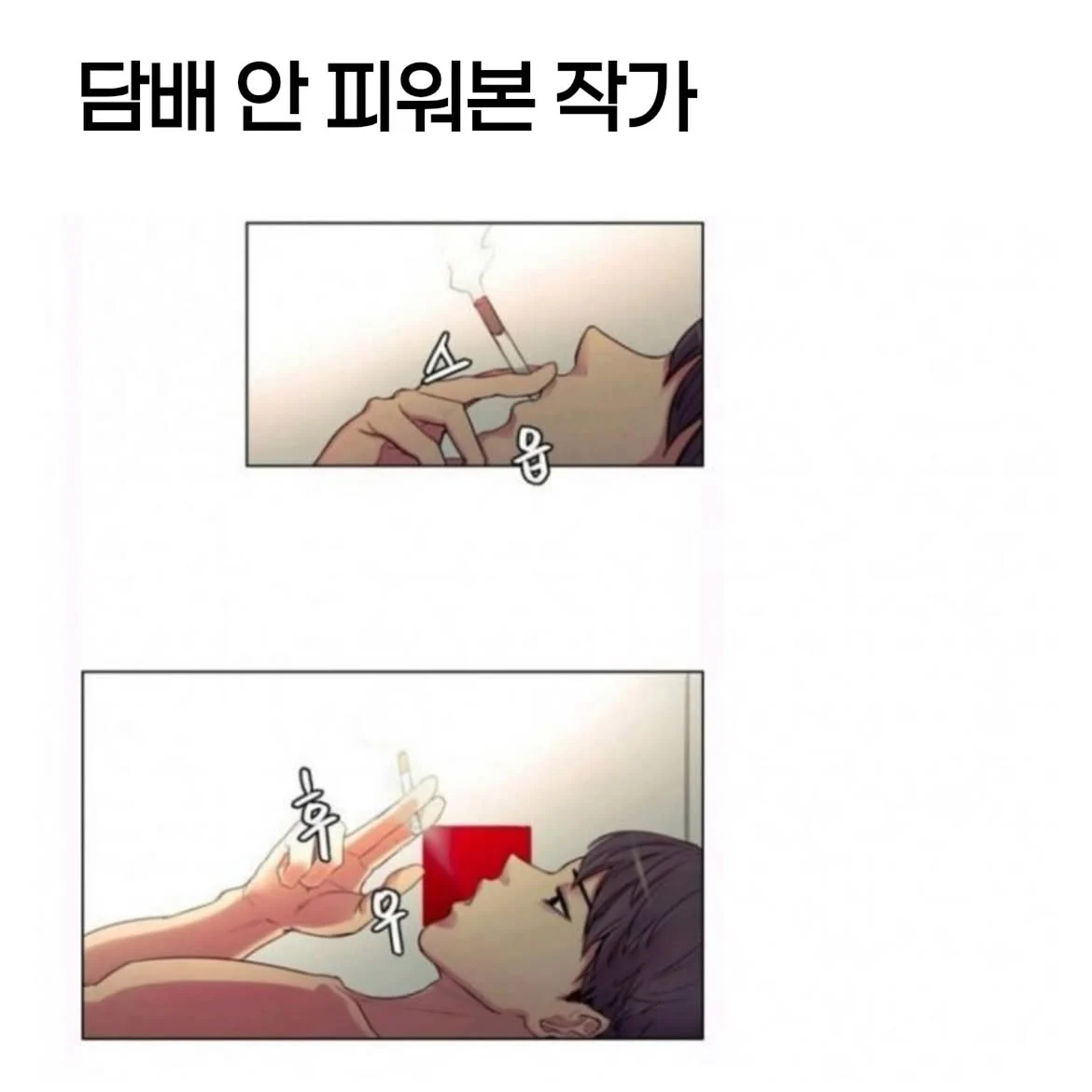 안해본 작가 (5)