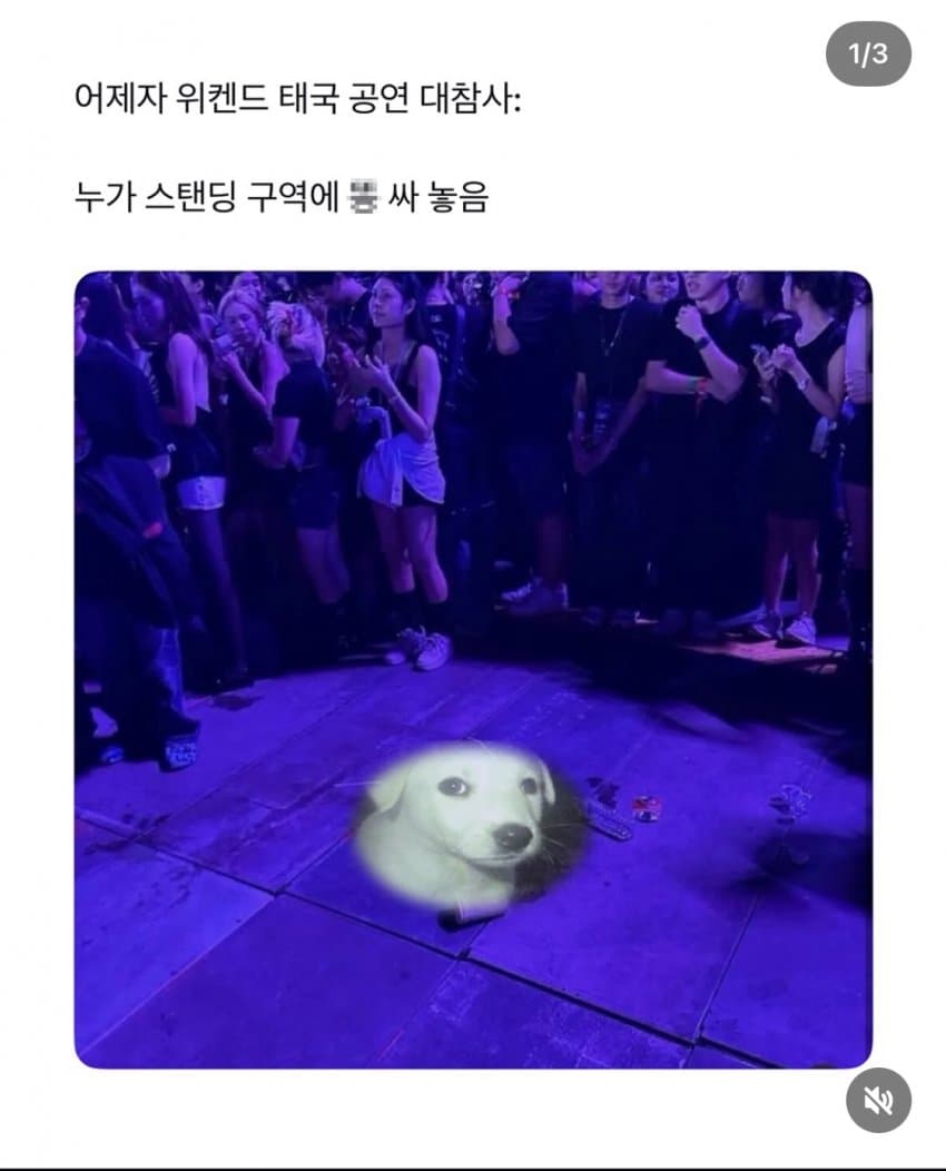 속보) 태국에서 스탠딩 응아 빌런 발생