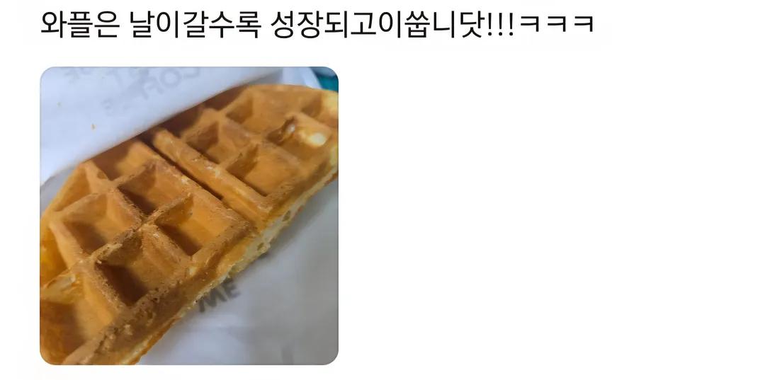 xydkei