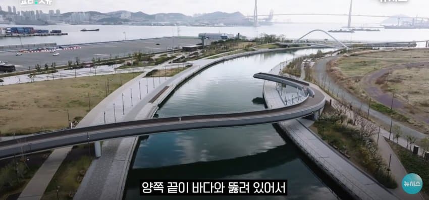 상어 한마리에 3만명 몰려, 부산 명소가 된 북항 (14)
