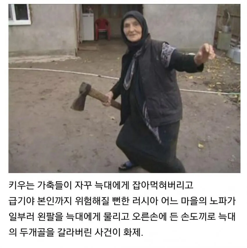 손도끼 하나로 늑대를 상대한 노파 후기