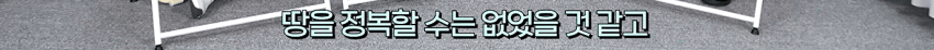위화도회군을 안했다면 이성계는 요동정벌 가능했을까? (2)
