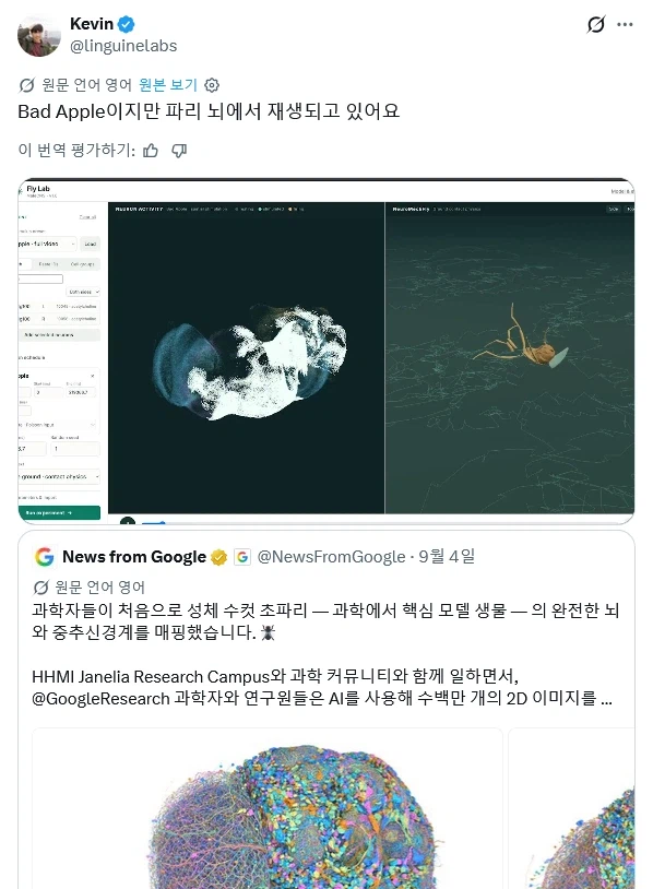 초파리 뇌 지도가 완성되자 하는 것 (2)