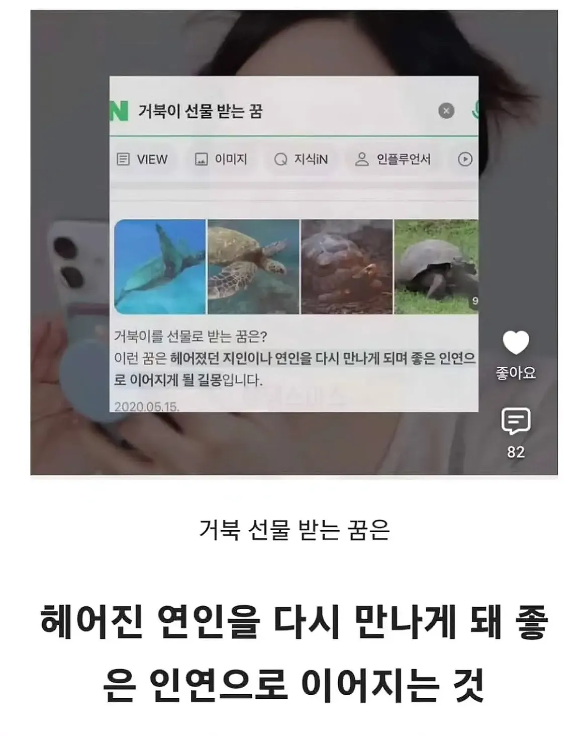 세상 떠난 반려견이 딸로 돌아온거 같다는 유튜버 (4)