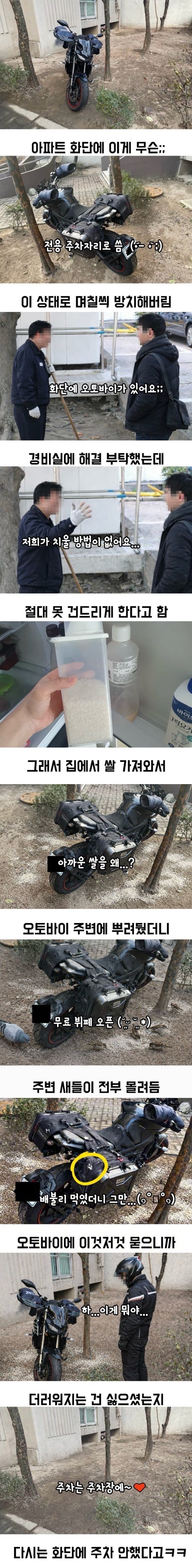 02.jpg