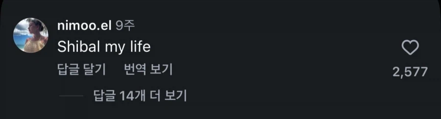 서울이 진짜 사랑의 도시라는 외국 인스타