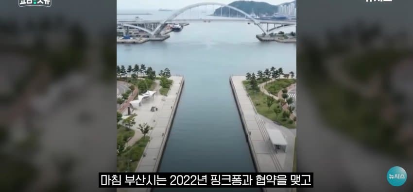 상어 한마리에 3만명 몰려, 부산 명소가 된 북항 (44)