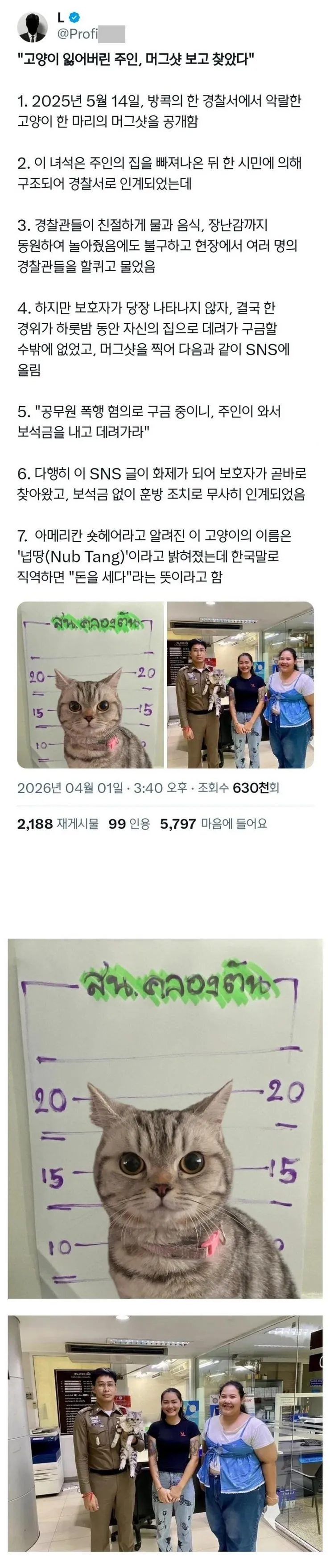 X] 공무원 폭행 혐의로 구금된 고양이.twt