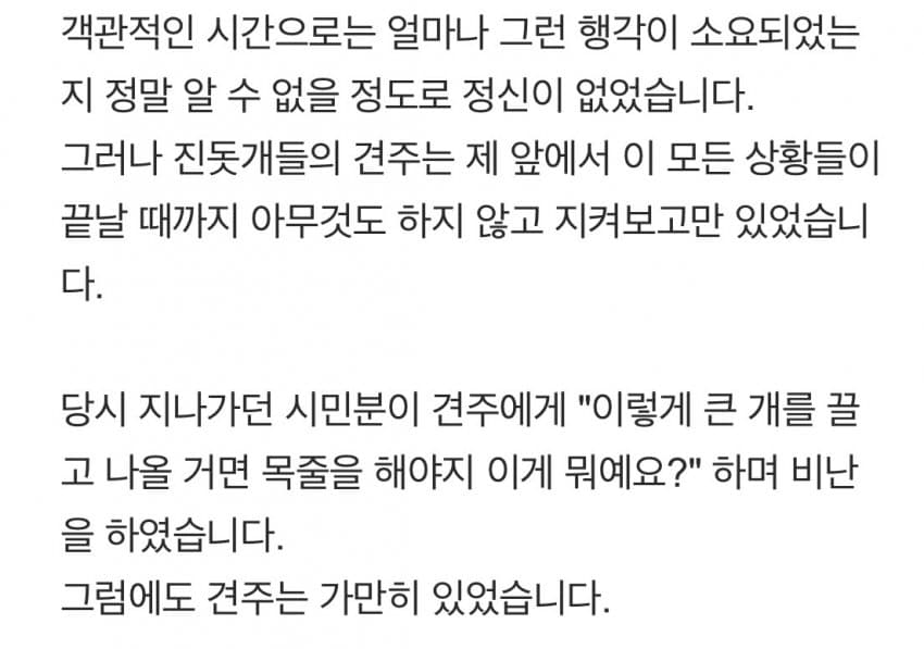 안싱글벙글 개물림 사고(강아지사망) 당했습니다 (4)