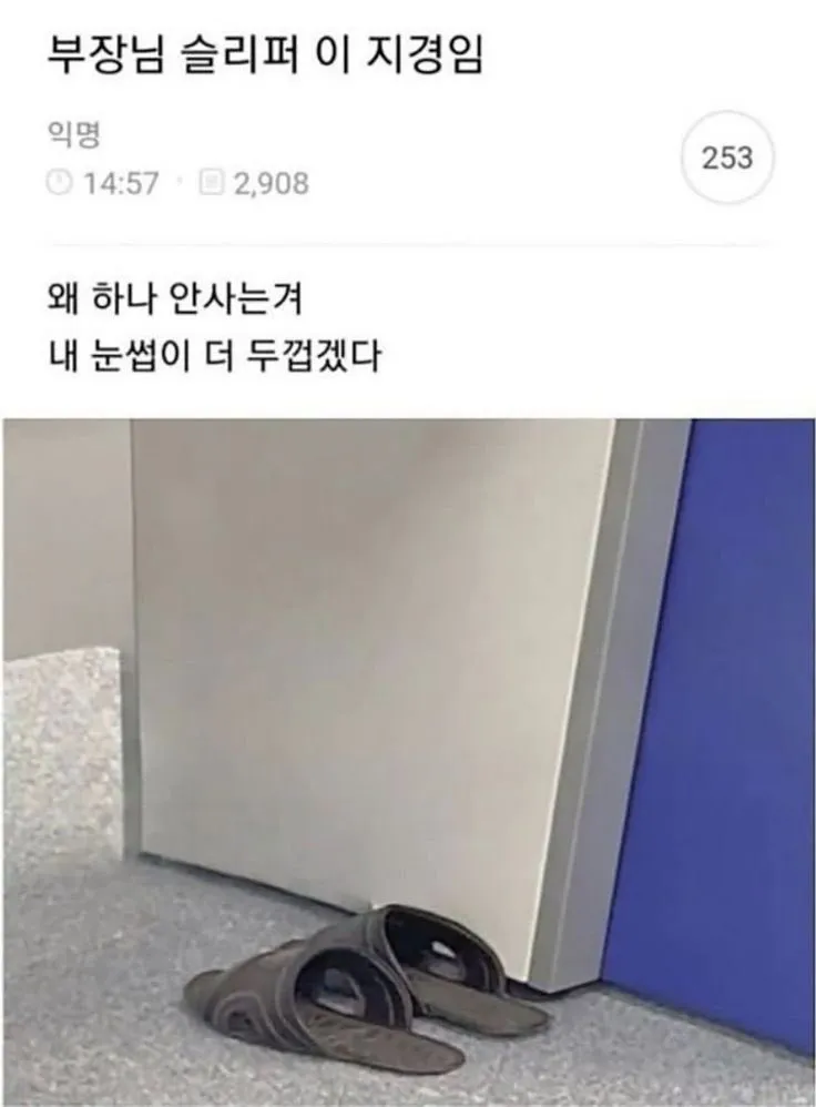 부장님 슬리퍼 이 지경임