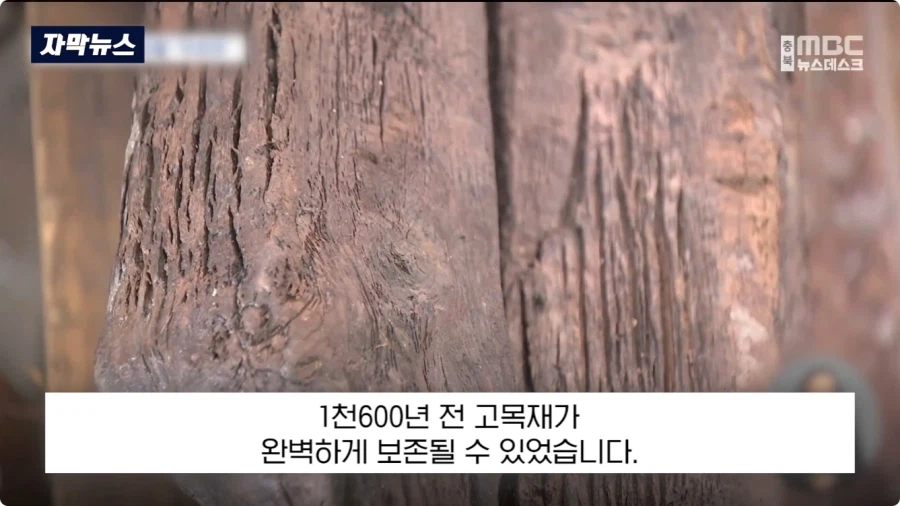 충주에서 1600년전 백제 유물 발견 (9)