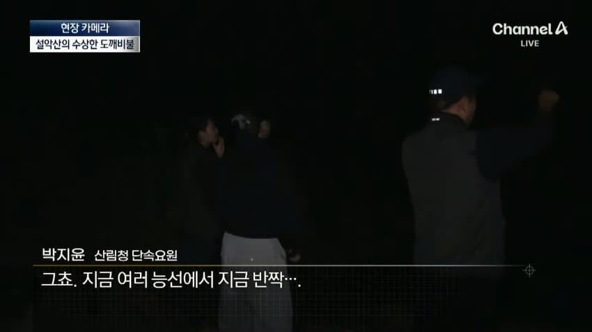 채널a) 송이버섯 1kg에 160만원...밤낮 추격전 (9)