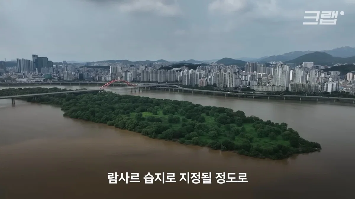 새들에겐 거의 전쟁난 수준이라는 불꽃축제 (53)