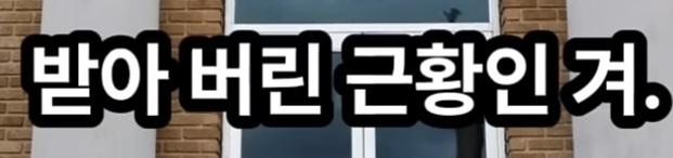 삼성등에 칼꽂은 임원 (10)