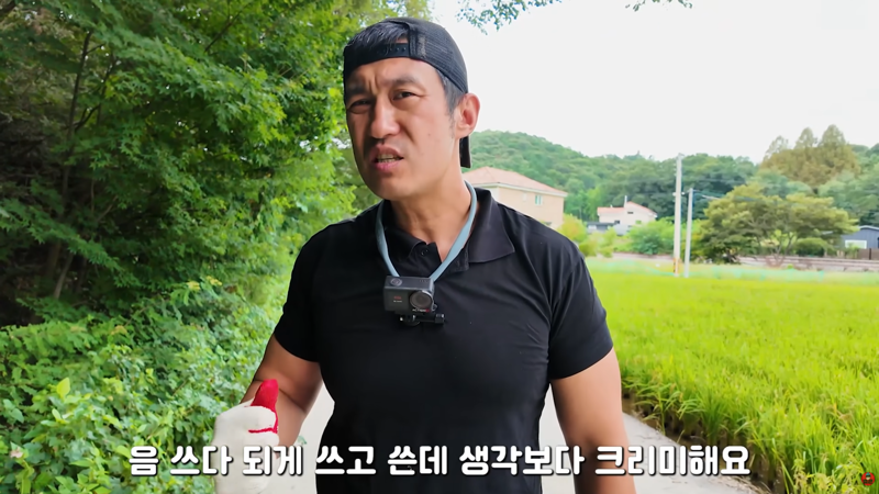 사마귀 먹는 방법 알려주는 유튜버 (12)