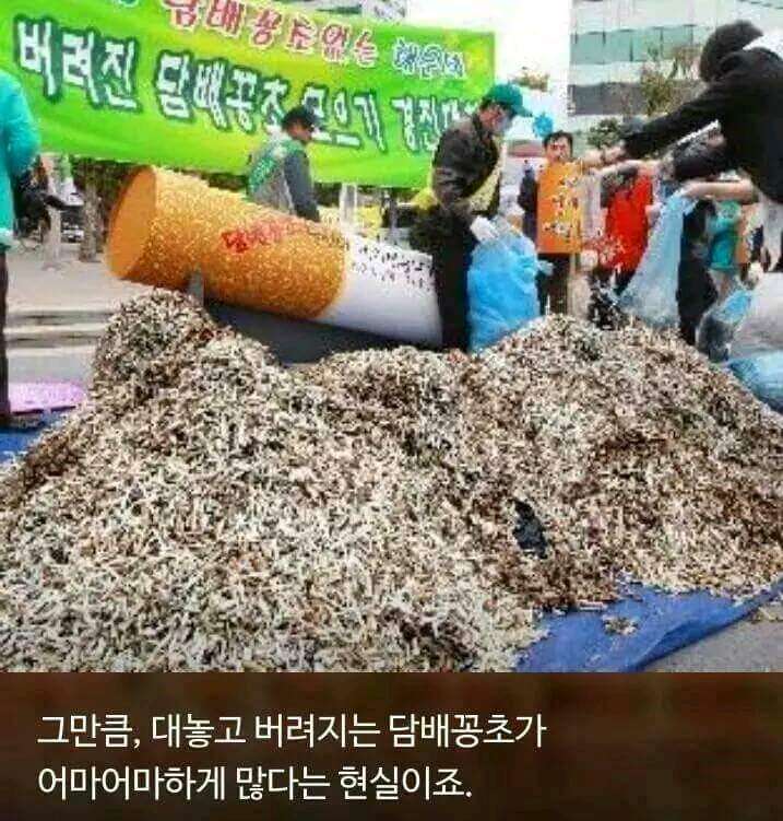 흡연자들이 흡연충이라고 욕먹는 이유 (4)