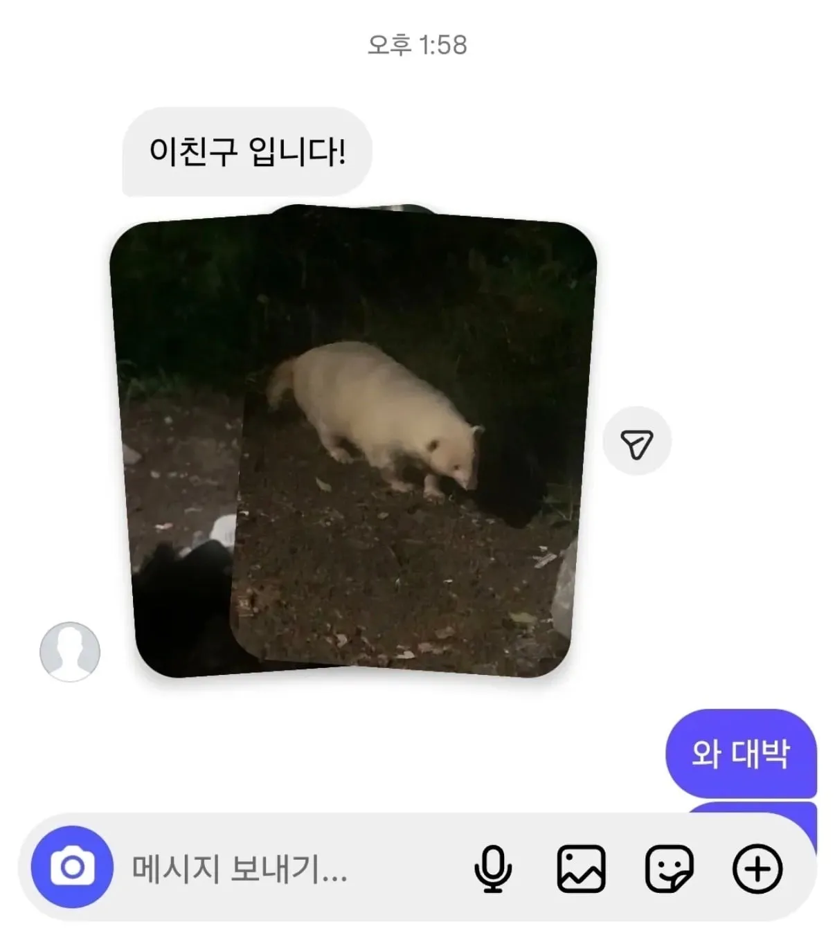 초희귀동물 제보를 받은 유튜버ㄷㄷㄷㄷ