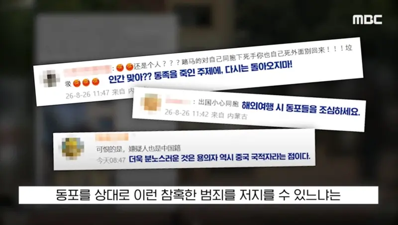 중국여성 살인사건 중국반응 (3)