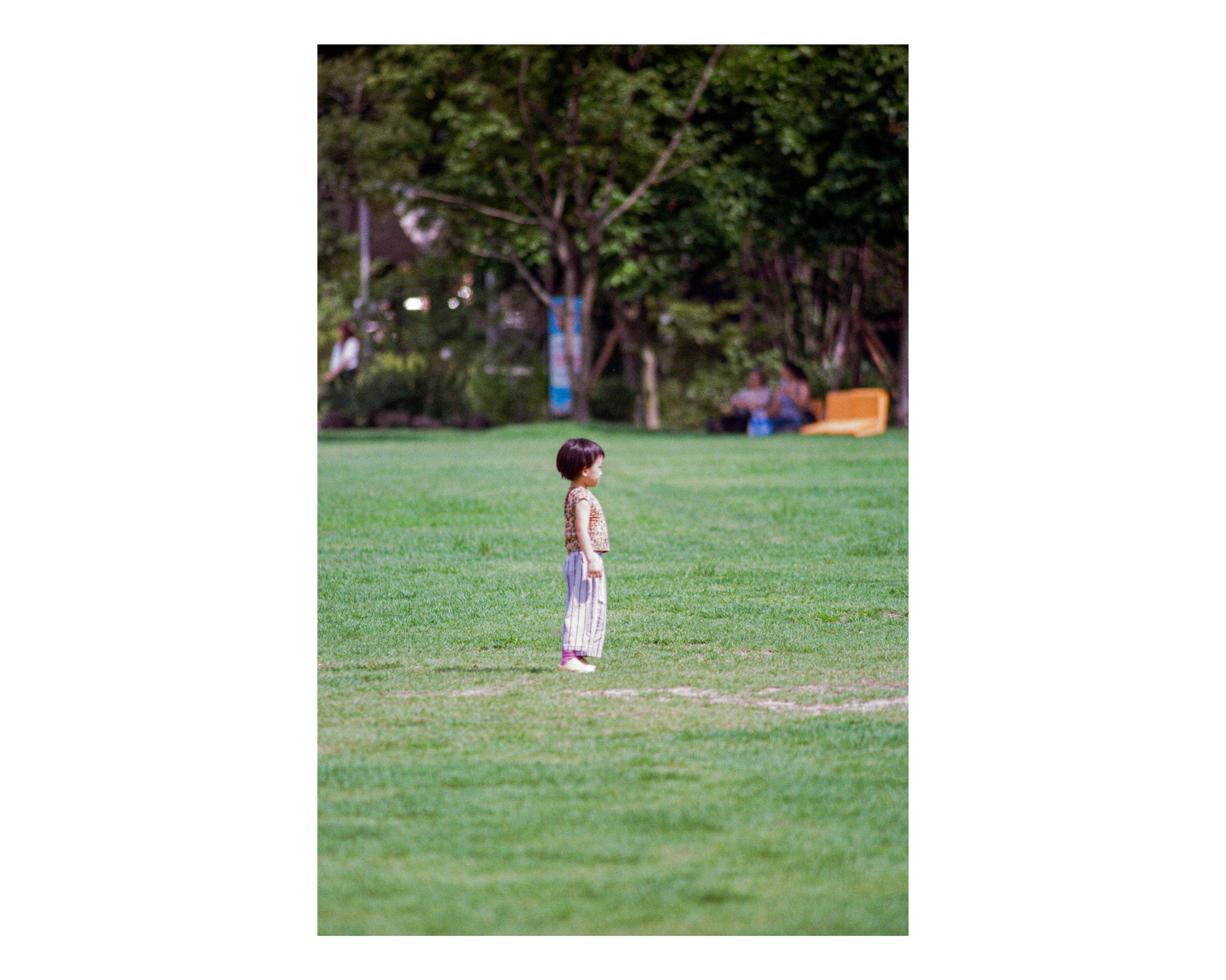 서울 국제 정원 박람회 (webp 38 pics) (25)