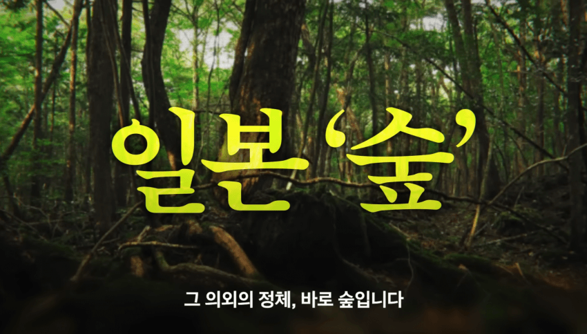 깜짝 .. 일본숲이 유독 무서운 이유 ㄹㅇ . (2)