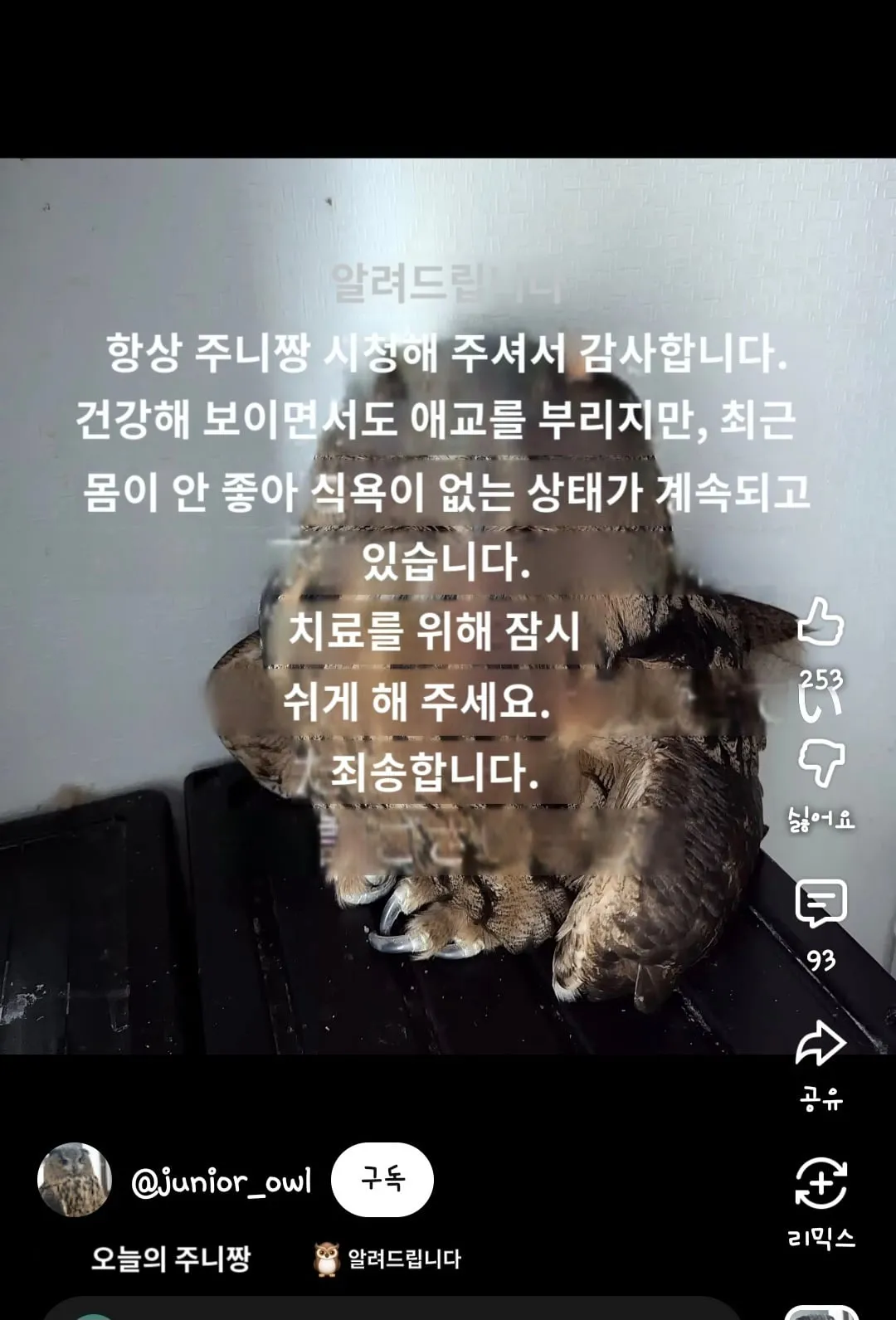 어느 일본인 유튜버가 6년만에 눈치챈 사실.mp4