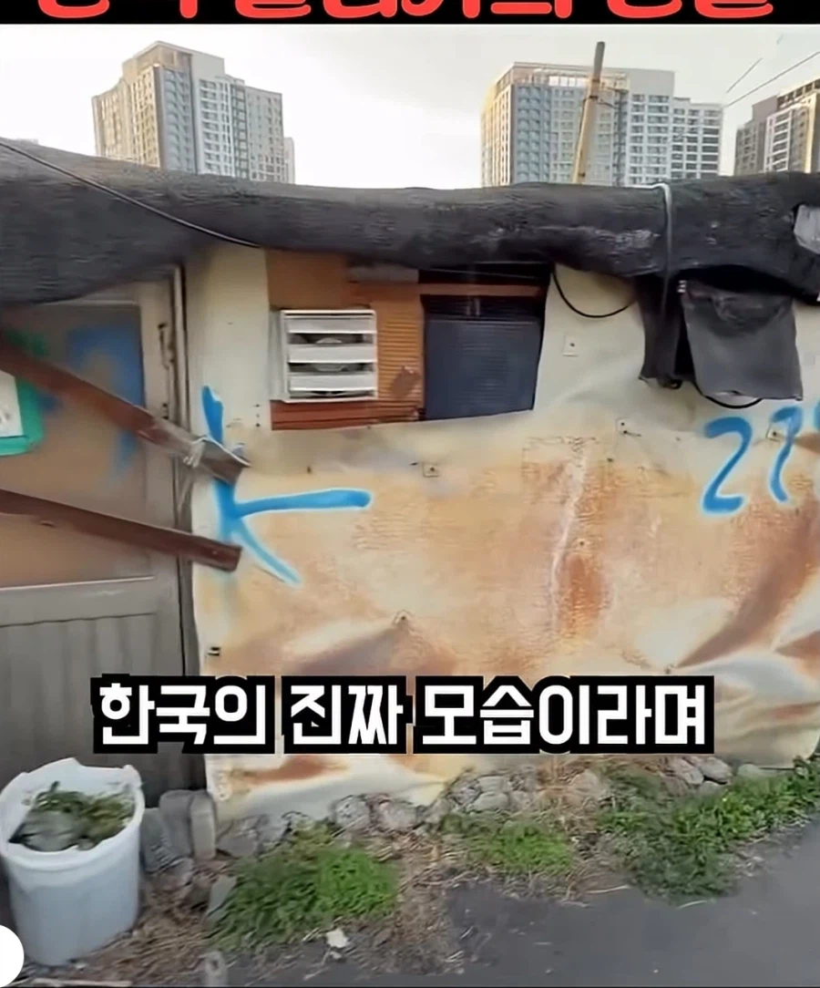 한국의 슬럼가를 방문한 유튜버 (3)