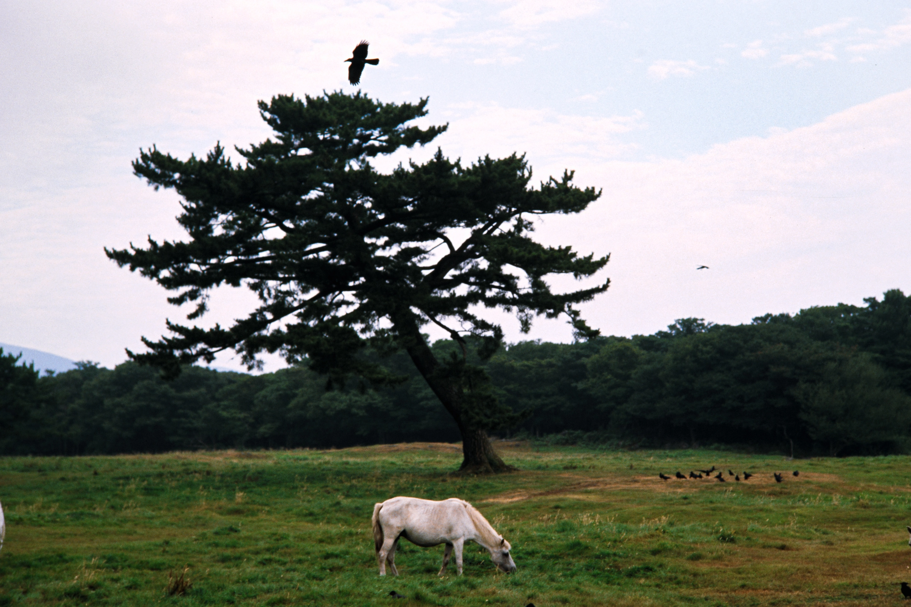 한여름 제주도 (23)