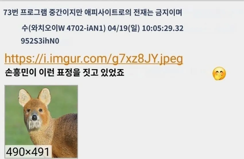 고라니를 어디선가 본 듯한 일본인