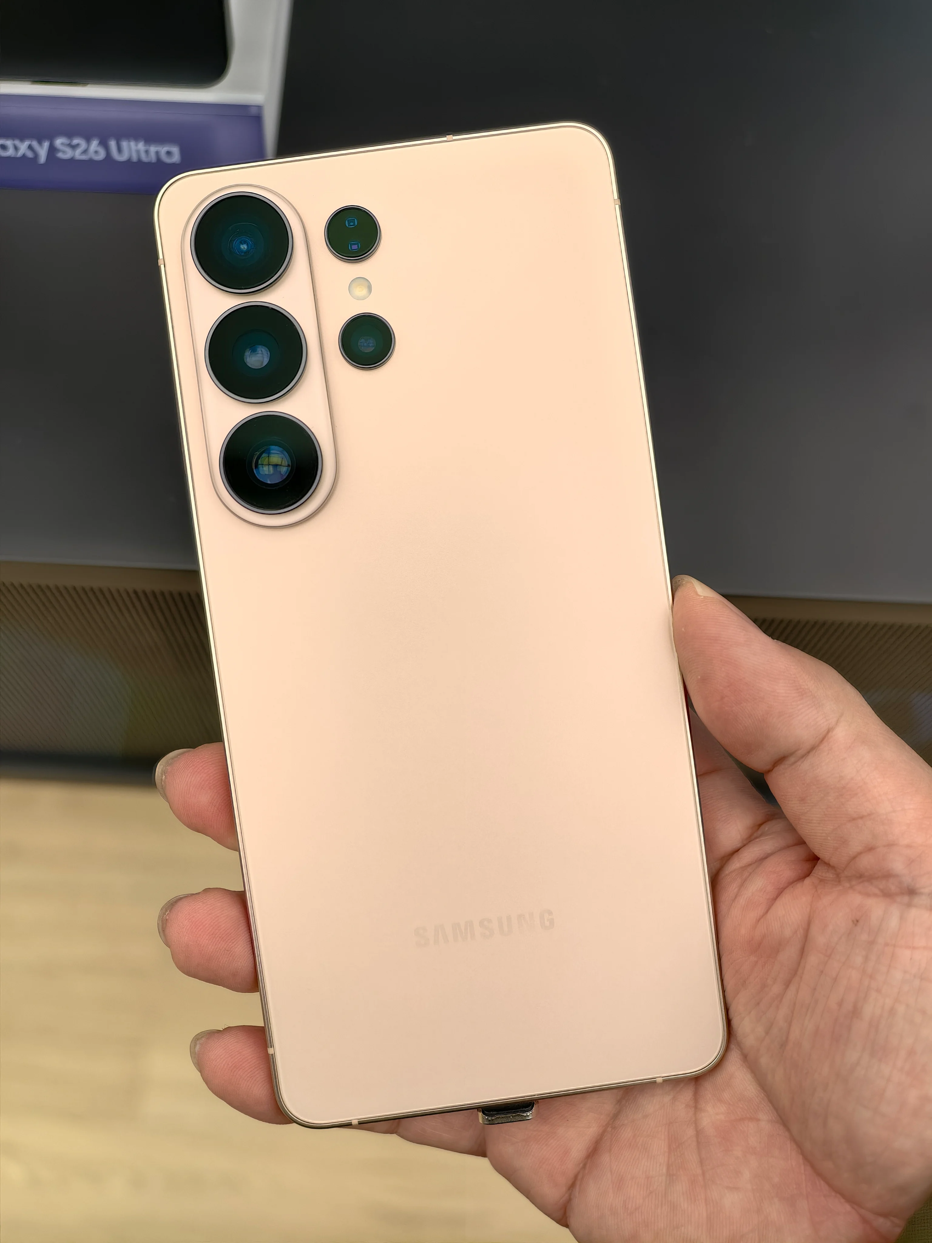 RoxnxP