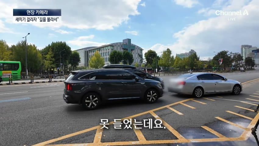 채널a) 차 머리부터 '쑥'..야구장 앞 얌체들 (16)