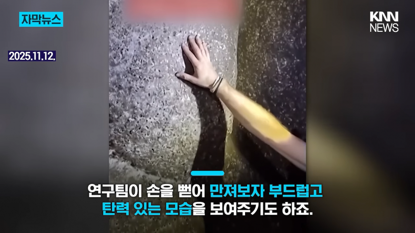 경악 세상에서 제일 큰 거미줄 발견 (3)