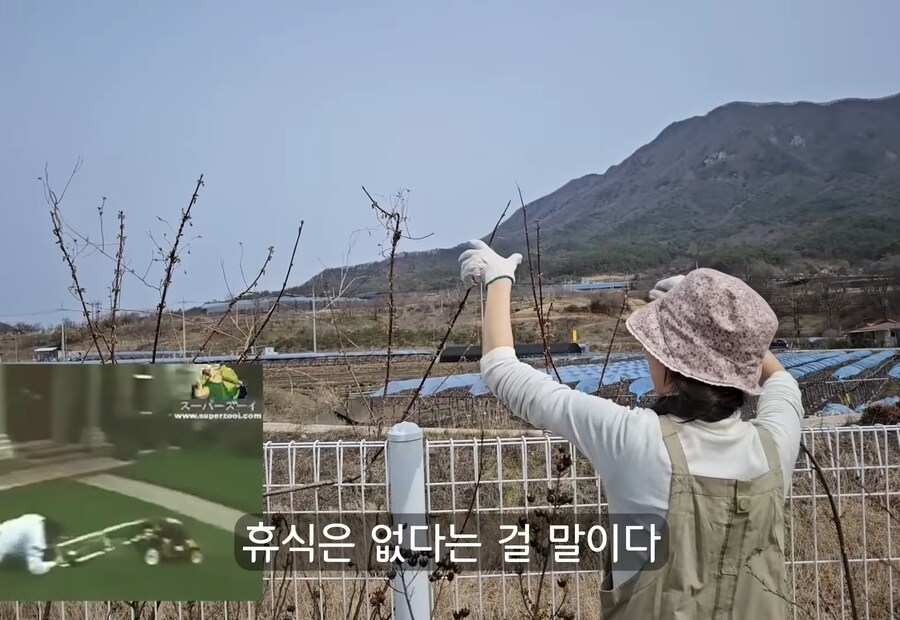 휴식을 위해 '귀촌'을 한 사람들이 깨닫게 되는 현실 (17)