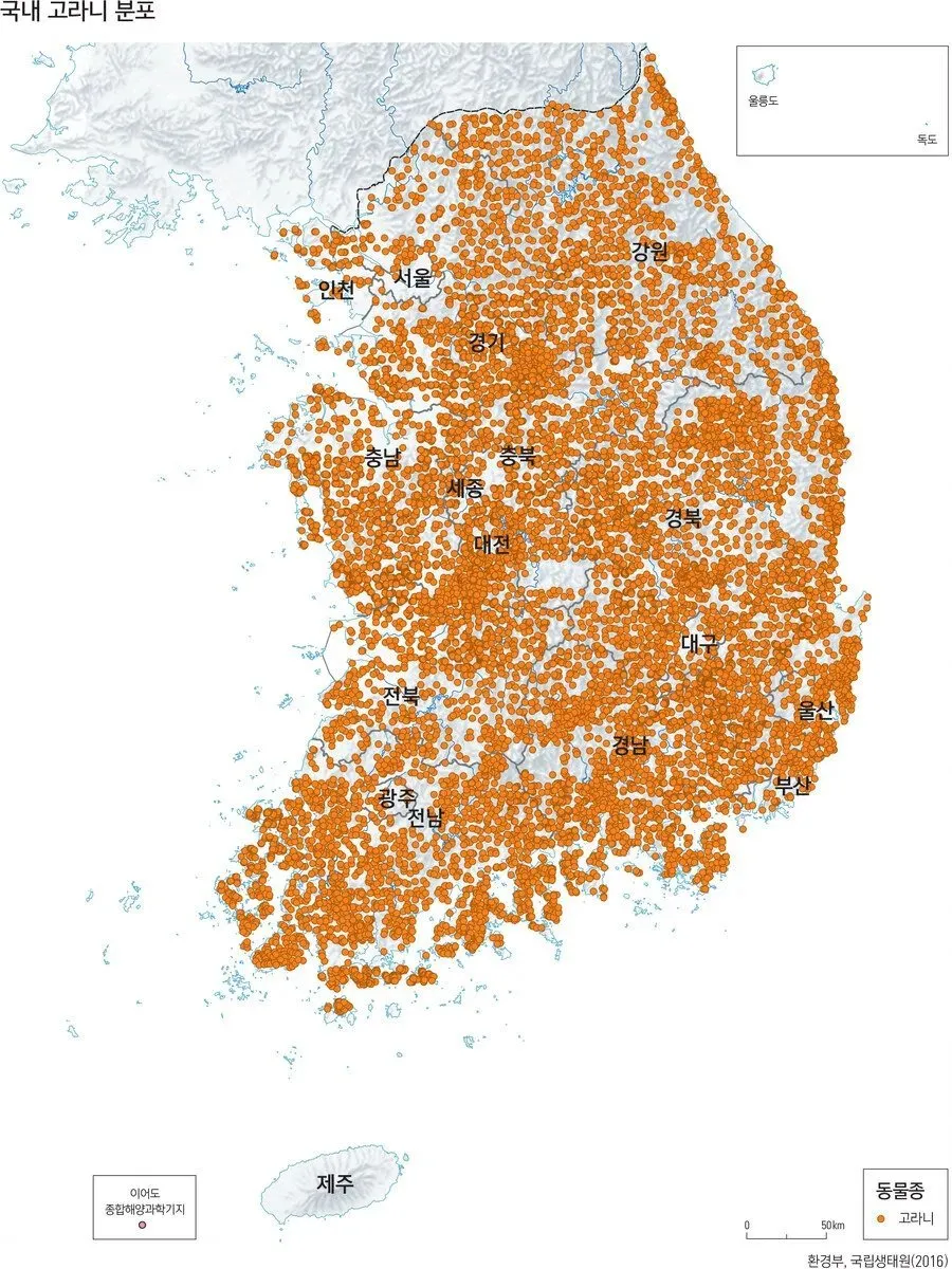 외국인들은 신기해한다는 한국 토종 동물 (2)