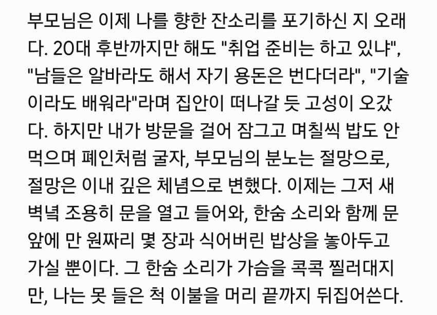 어느 반도의 쉬었음 30대 이야기 (4)